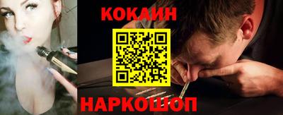крисы Моздок