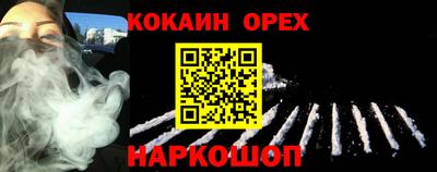 крисы Моздок