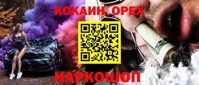 крисы Моздок