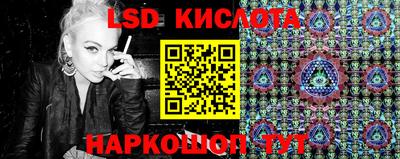 крисы Моздок